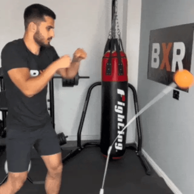 Supremus Punch Bag